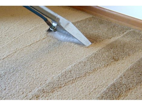 Lavagem de Carpetes em Perequê-Açú